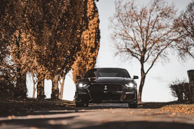 היפוזינו קזינו אפליקציית Android/iOS